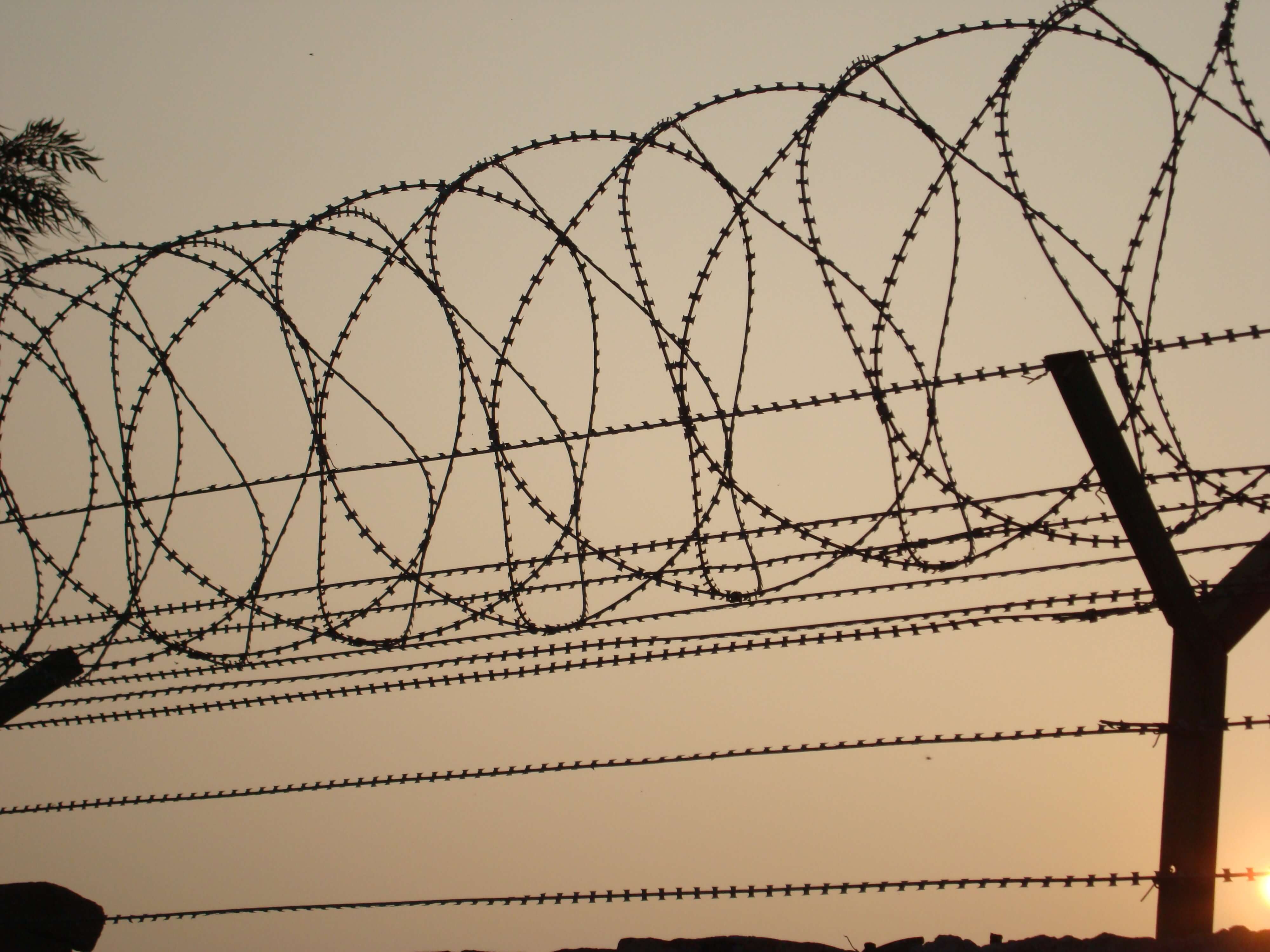 Barbedwire